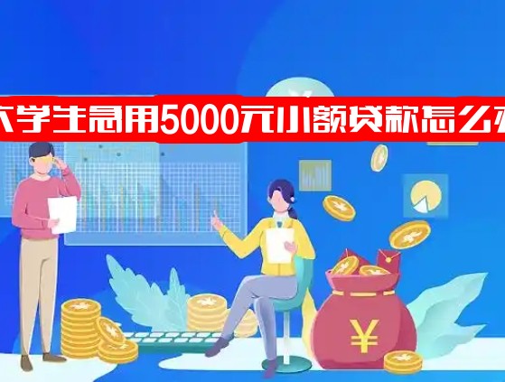 大学生急用5000元小额贷款怎么办