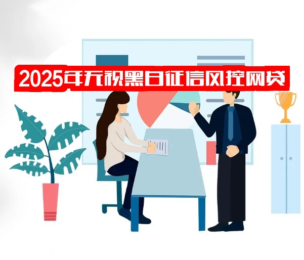 2025年无视黑白征信风控网贷