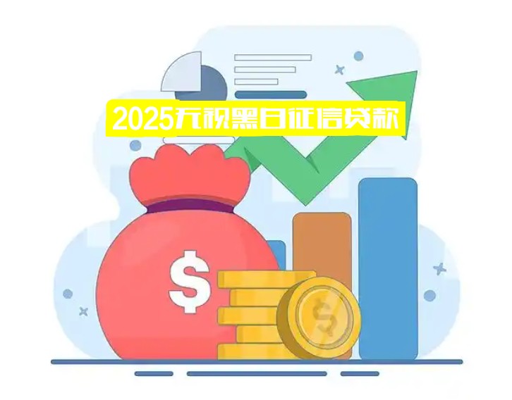 2025无视黑白征信贷款