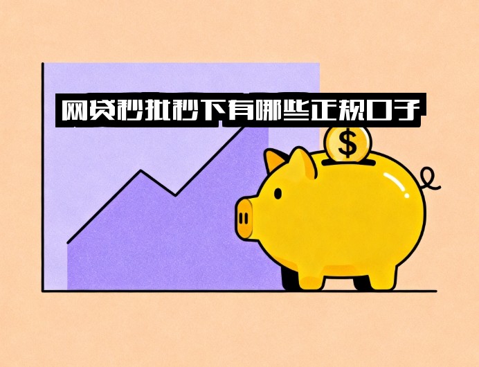 网贷秒批秒下有哪些正规口子？秒放款网贷平台全汇总，急需用钱必看！