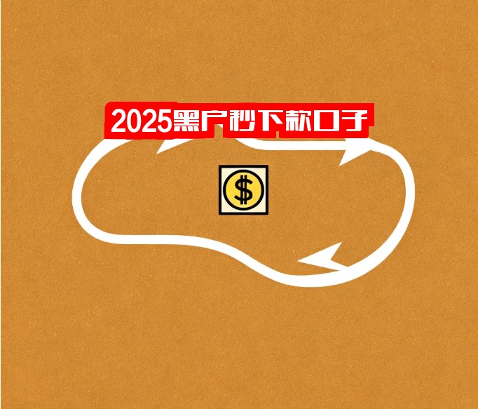 2025黑户秒下款口子