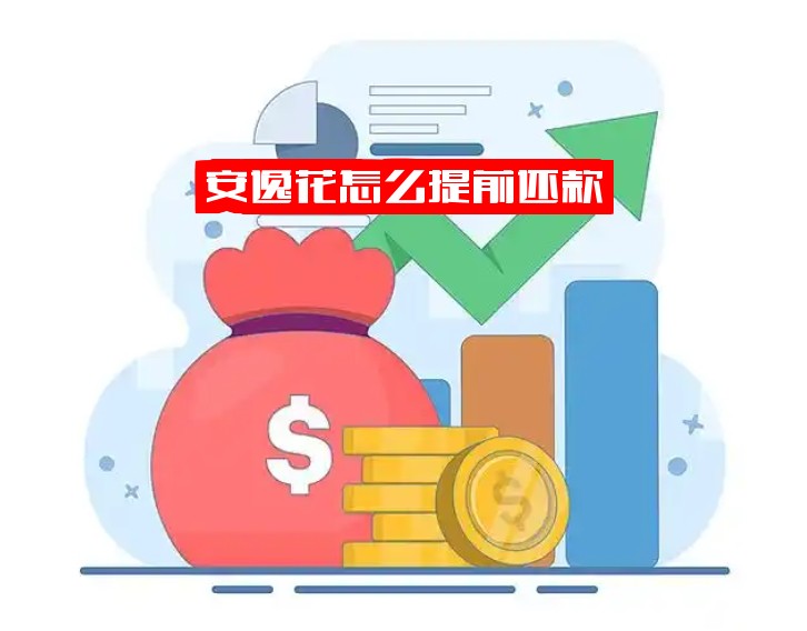 安逸花怎么提前还款