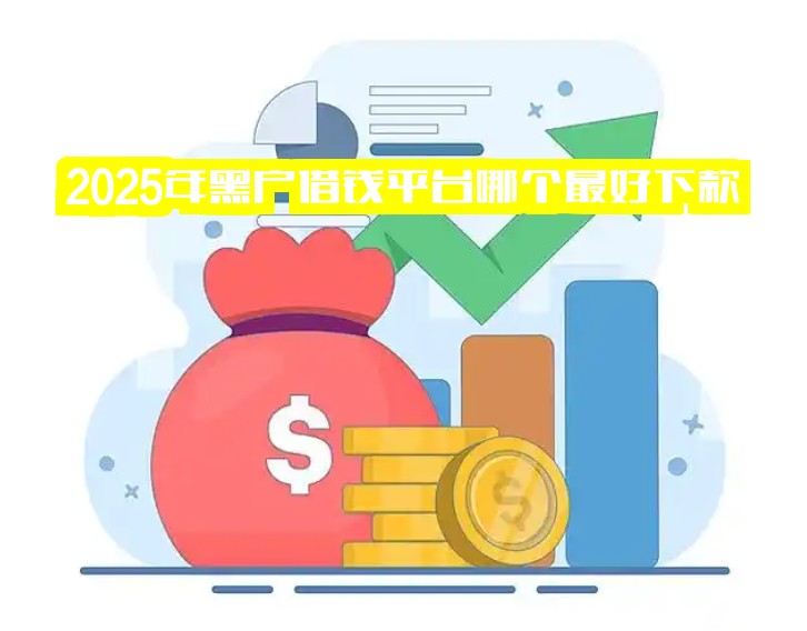 2025年黑户借钱平台哪个最好下款