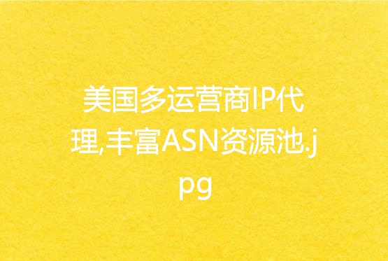 美国多运营商IP代理,丰富ASN资源池