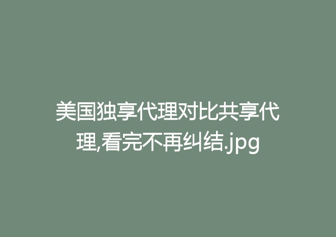 美国独享代理对比共享代理,看完不再纠结