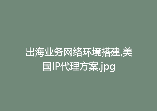 出海业务网络环境搭建,美国IP代理方案