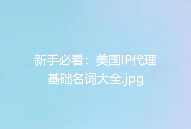 新手必看:美国IP代理基础名词大全