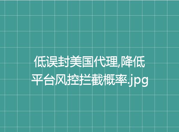 低误封美国代理,降低平台风控拦截概率