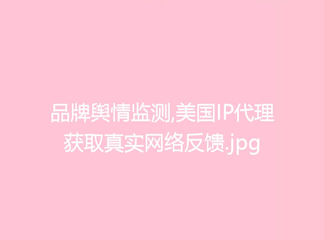 品牌舆情监测,美国IP代理获取真实网络反馈