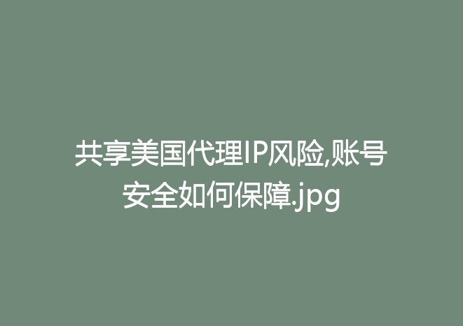 共享美国代理IP风险,账号安全如何保障