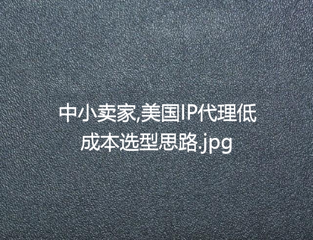 中小卖家,美国IP代理低成本选型思路