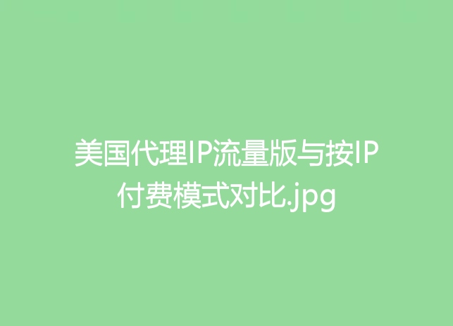 美国代理IP流量版与按IP付费模式对比