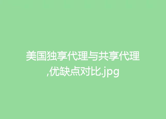 美国独享代理与共享代理,优缺点对比