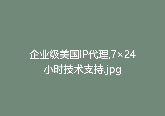 企业级美国IP代理,7×24小时技术支持