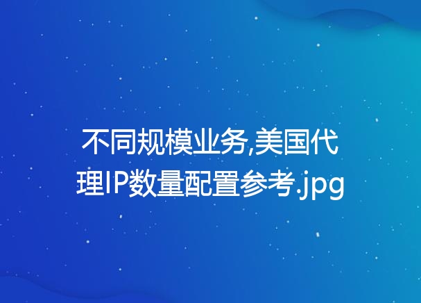 不同规模业务,美国代理IP数量配置参考
