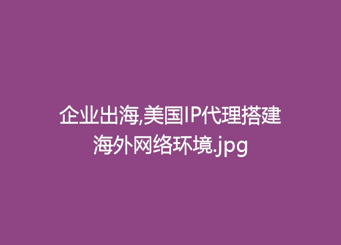 企业出海,美国IP代理搭建海外网络环境