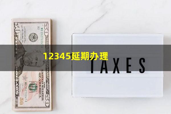 12345延期办理