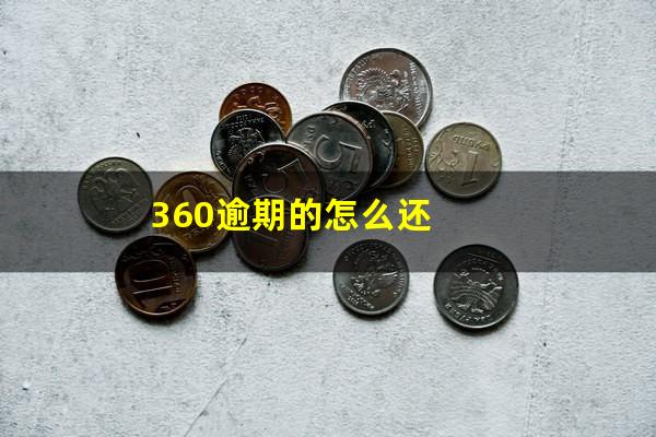 360逾期的怎么还