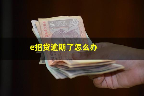 e招贷逾期了怎么办
