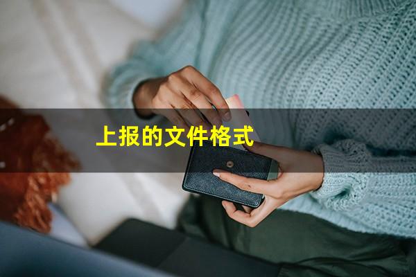 上报的文件格式
