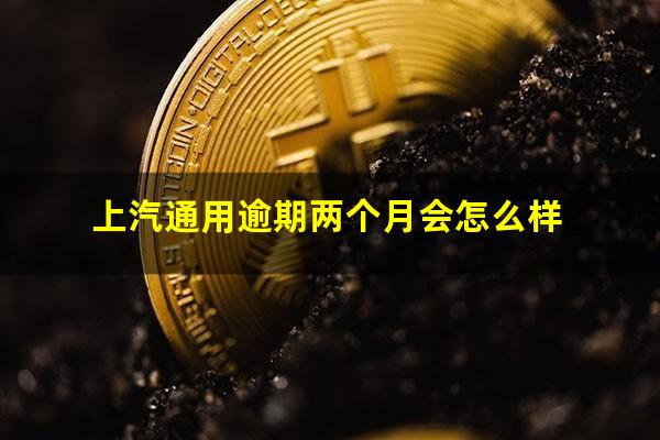 上汽通用逾期两个月会怎么样