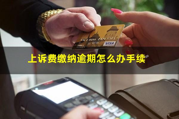 上诉费缴纳逾期怎么办手续