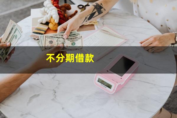不分期借款