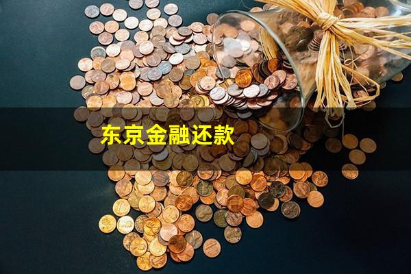 东京金融还款