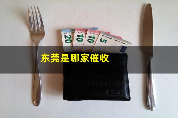 东莞是哪家催收