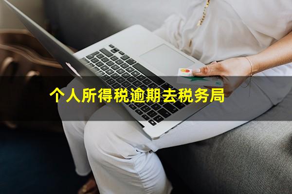 个人所得税逾期去税务局