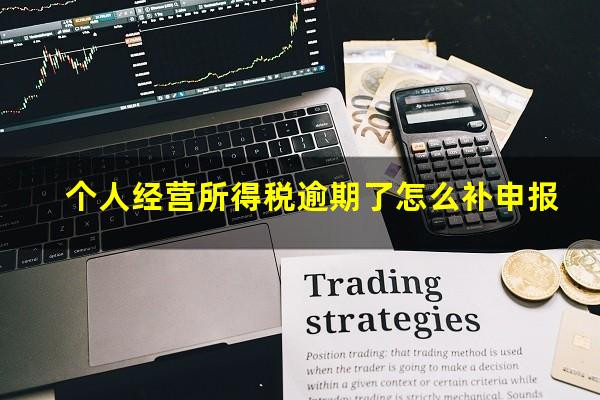 个人经营所得税逾期了怎么补申报
