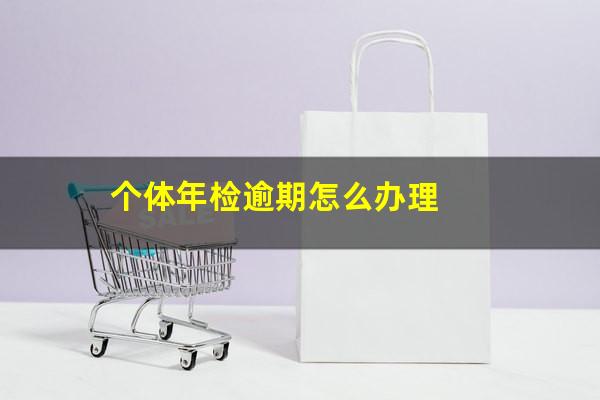 个体年检逾期怎么办理