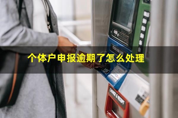 个体户申报逾期了怎么处理