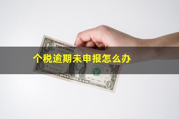 个税逾期未申报怎么办