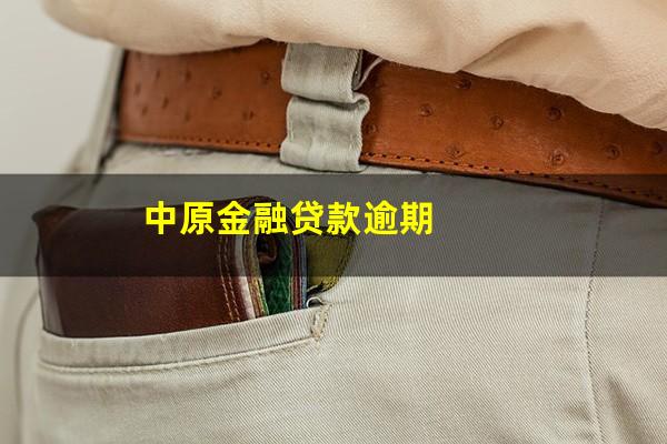 中原金融贷款逾期