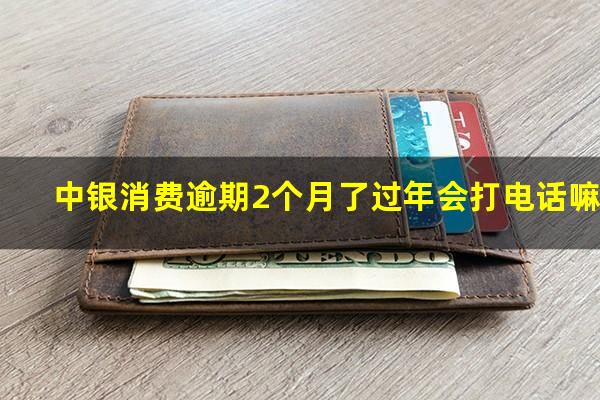 中银消费逾期2个月了过年会打电话嘛