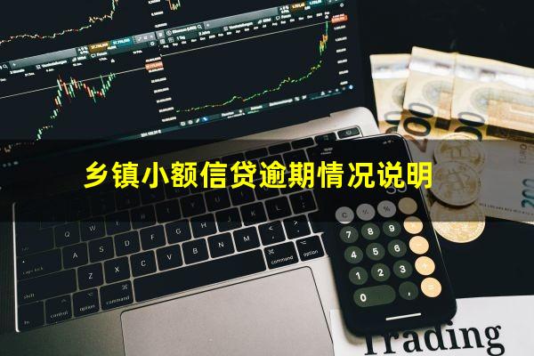 乡镇小额信贷逾期情况说明