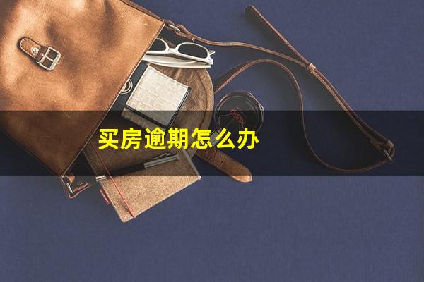 买房逾期怎么办
