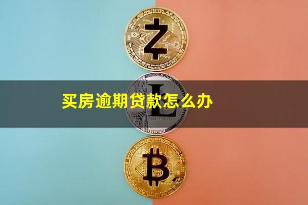 买房逾期贷款怎么办