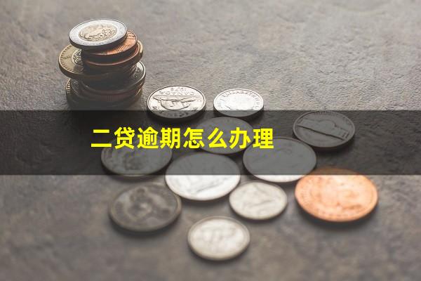 二贷逾期怎么办理