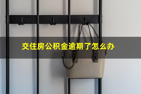 交住房公积金逾期了怎么办