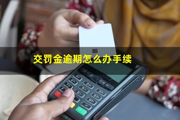 交罚金逾期怎么办手续