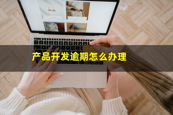 产品开发逾期怎么办理
