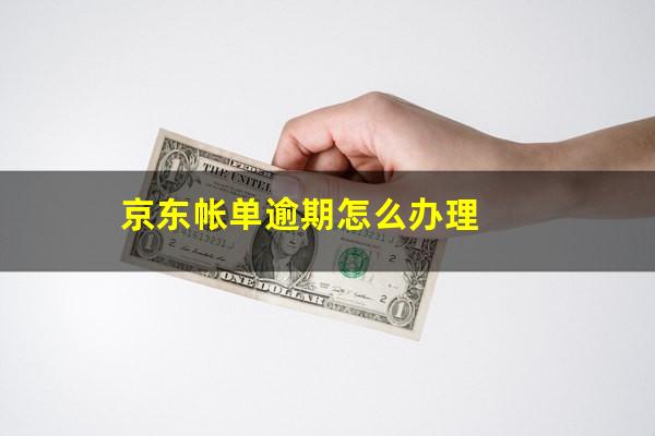 京东帐单逾期怎么办理