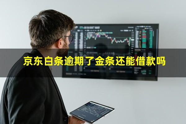 京东白条逾期了金条还能借款吗