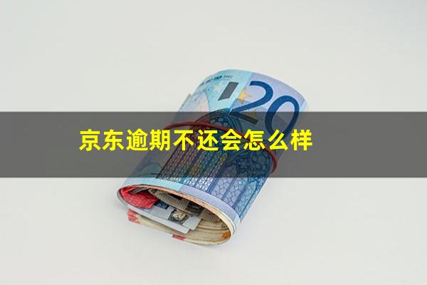 京东逾期不还会怎么样