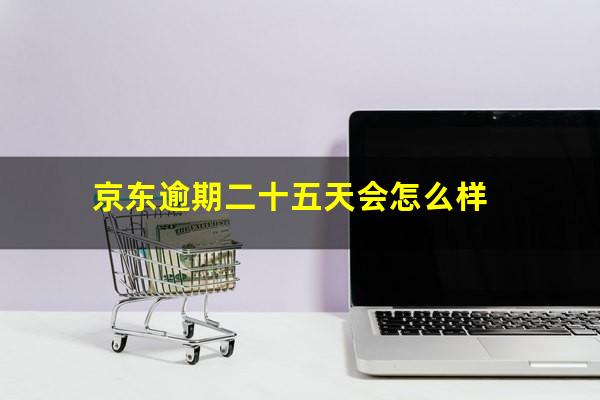 京东逾期二十五天会怎么样
