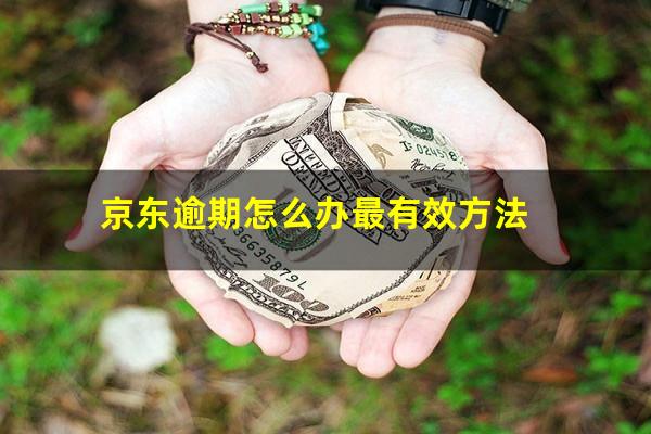 京东逾期怎么办最有效方法