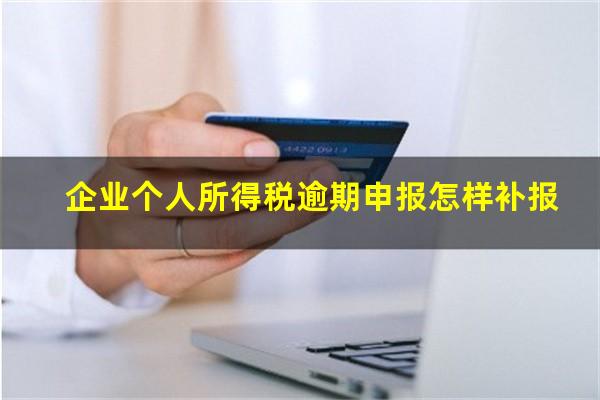企业个人所得税逾期申报怎样补报