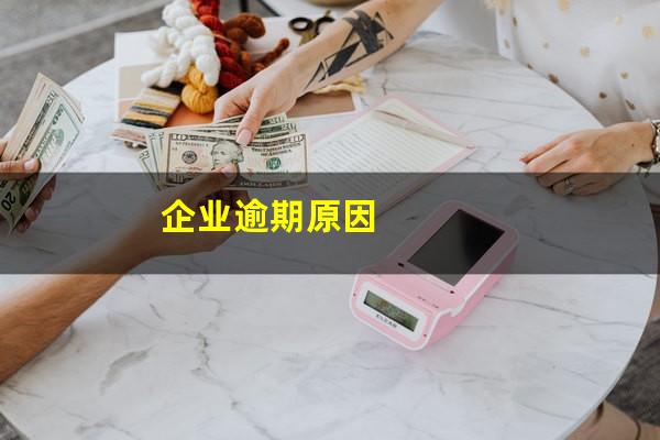 企业逾期原因